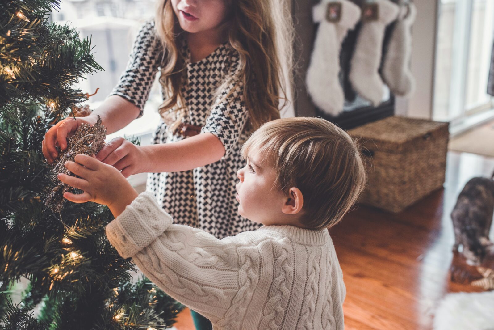 Blog Post - 19DEC2022